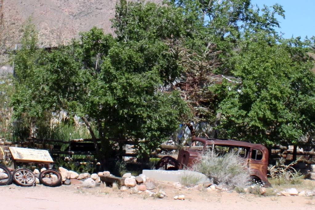 IMG_3245.jpg