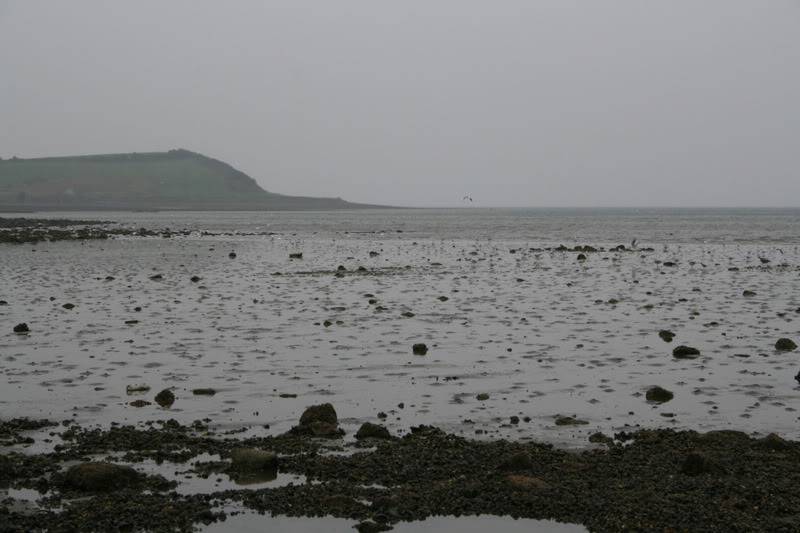 127.jpg