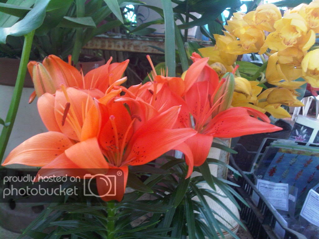 IMG-20111122-00153.jpg