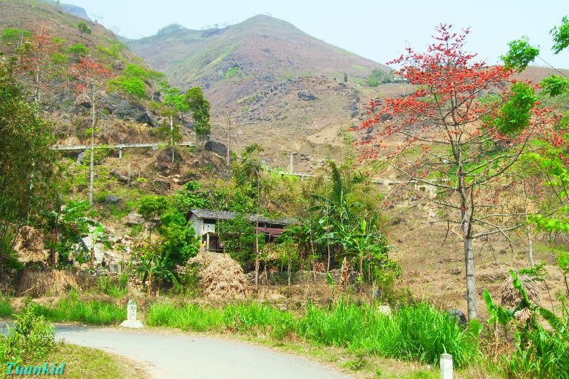 SDC16544.jpg