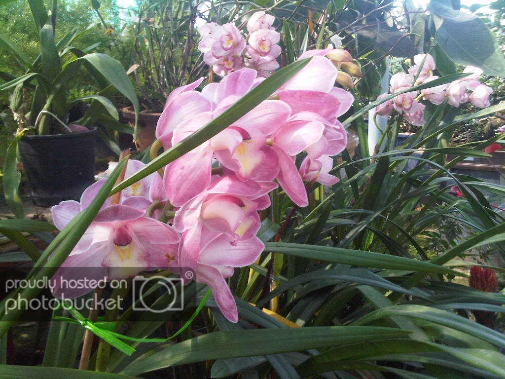 IMG-20111122-00151.jpg