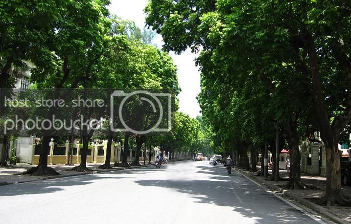 xanh2.jpg