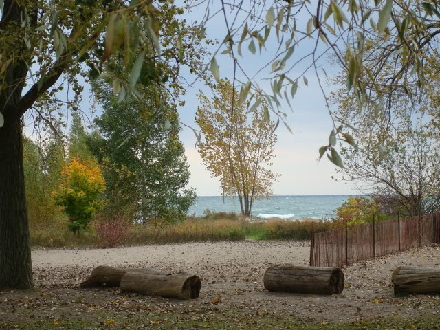 DSC05172.jpg