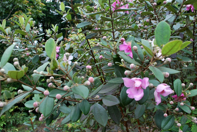 DSC_2405.JPG