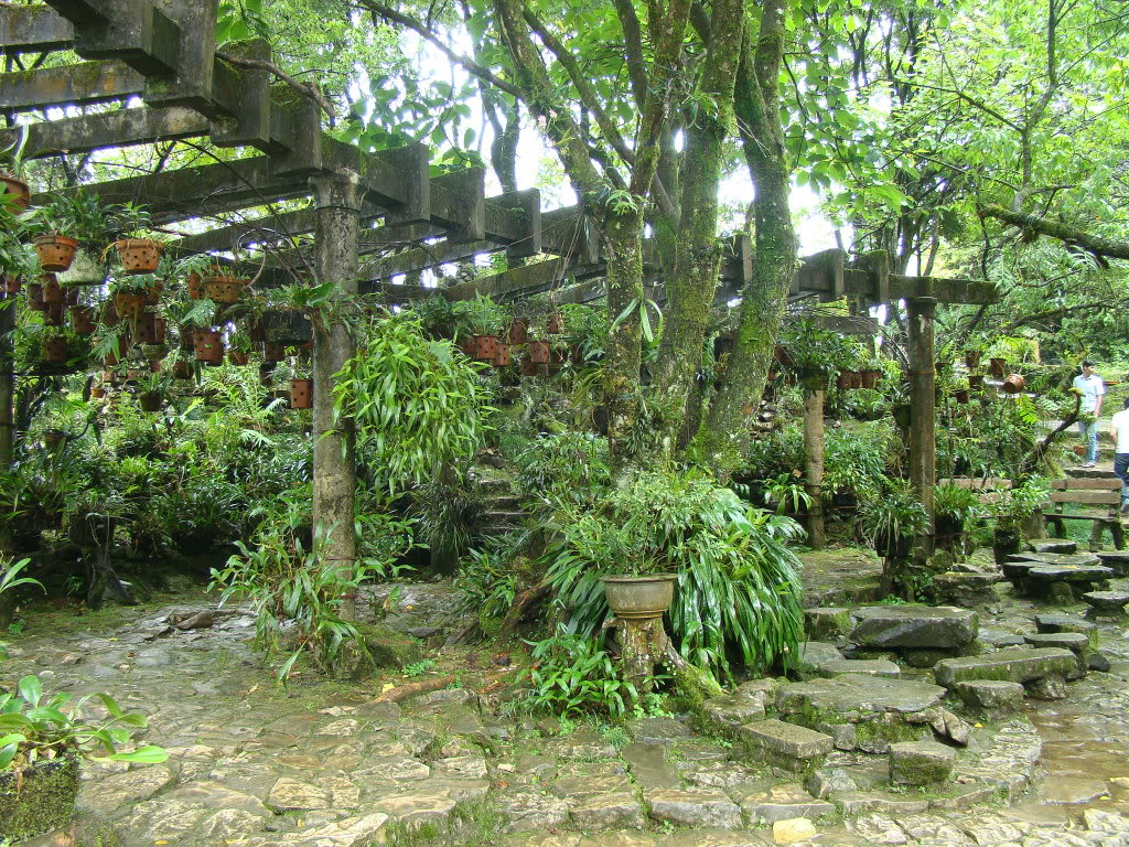 DSC09476.jpg