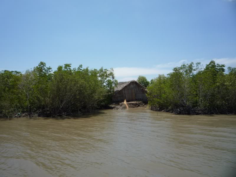 P1030236800x600.jpg