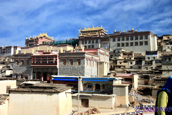shangri-la118.jpg