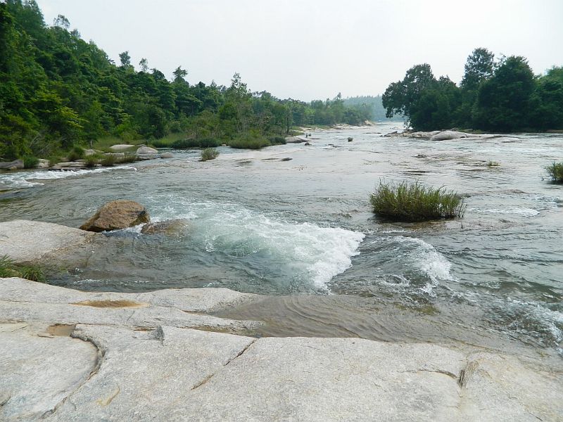 DSCN2584.jpg
