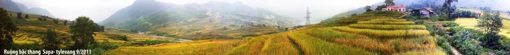 ruongbacthangsapa2.jpg