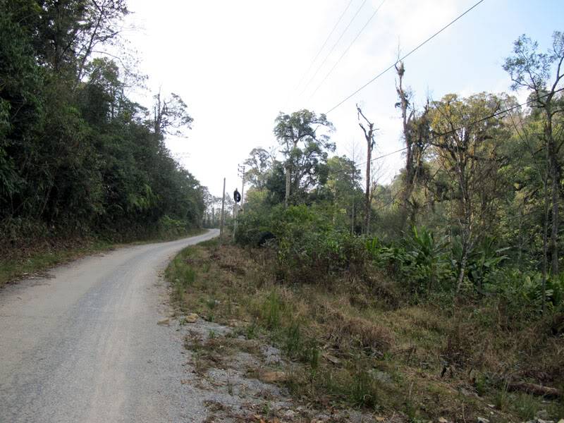 HongNgai2011228.jpg