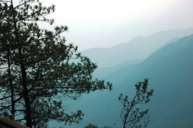 DSC_0912.jpg