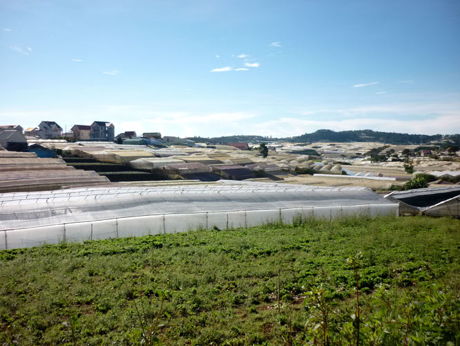 P1380494.jpg