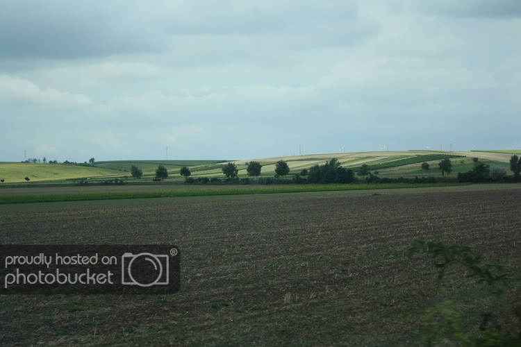 Picture022.jpg