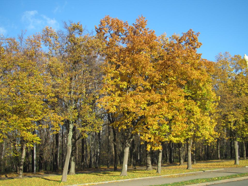IMG_6639_zps524ec750.jpg