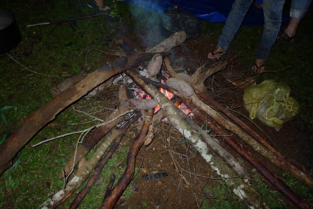 P1050799.jpg