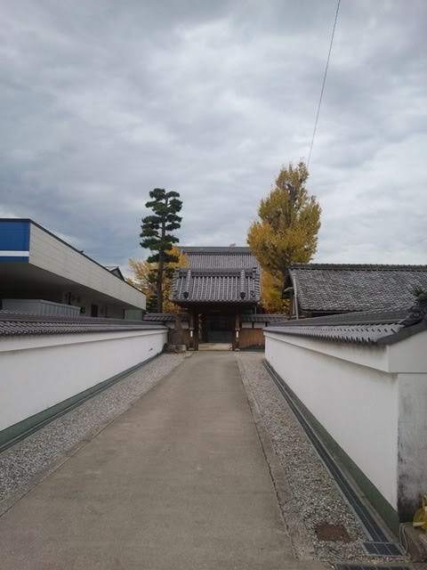 2011-12-01074217.jpg