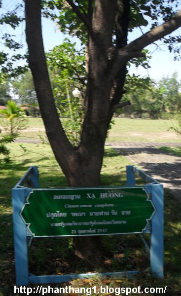 127.JPG