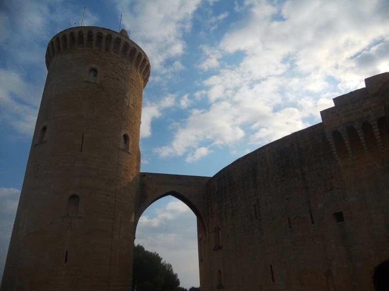 DSCN6539.jpg