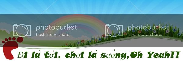 banner.jpg