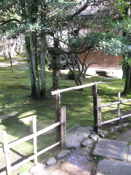IMG_1863_resize.jpg