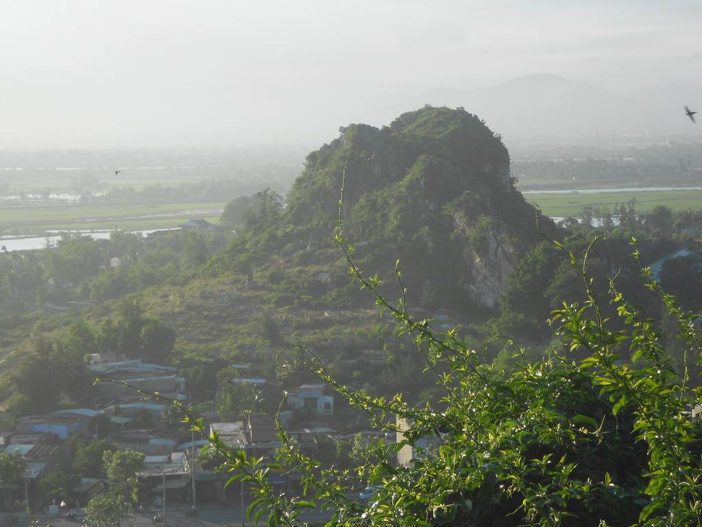 DSCN0273_zpso3rentgw.jpg