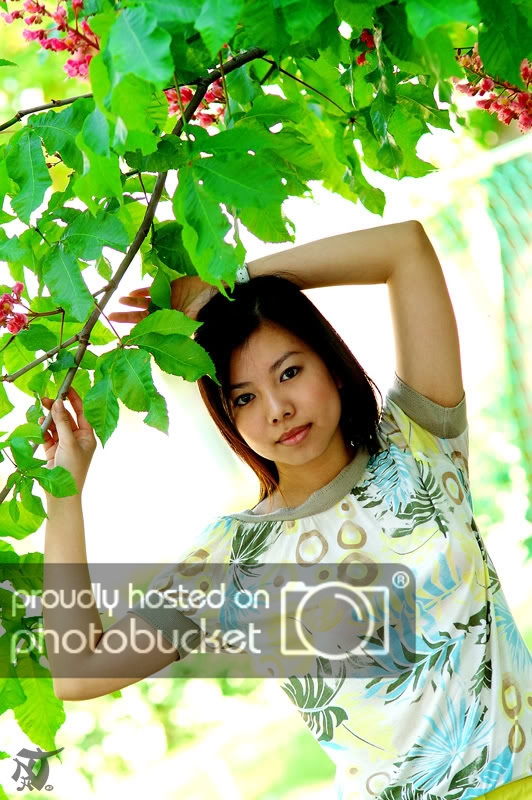 PICT4307.jpg