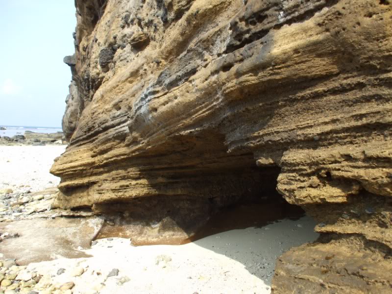 DSCF6771.jpg