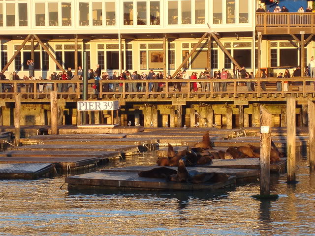 DSC07401.jpg