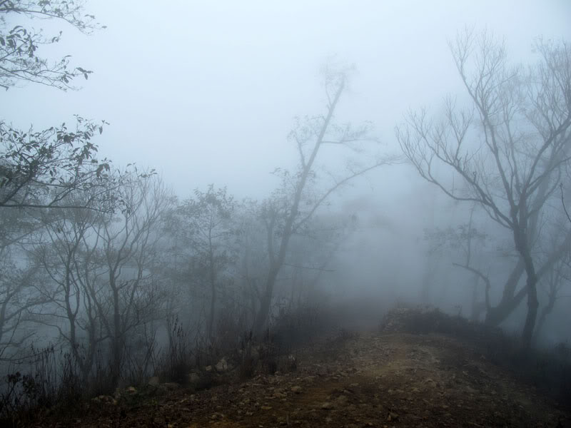 HongNgai2011574.jpg