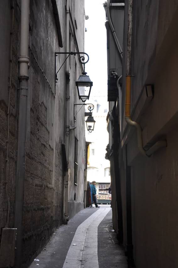 DSC_0377.jpg