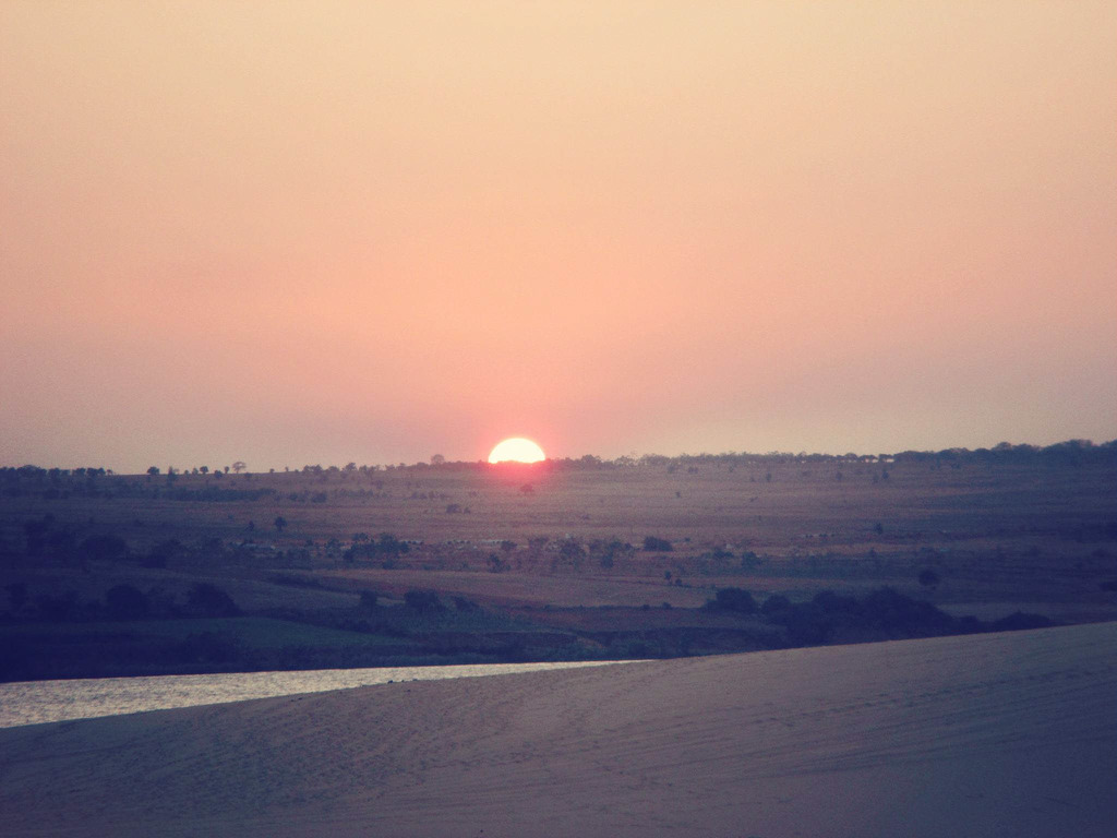 17008385311_edaf223682_b.jpg