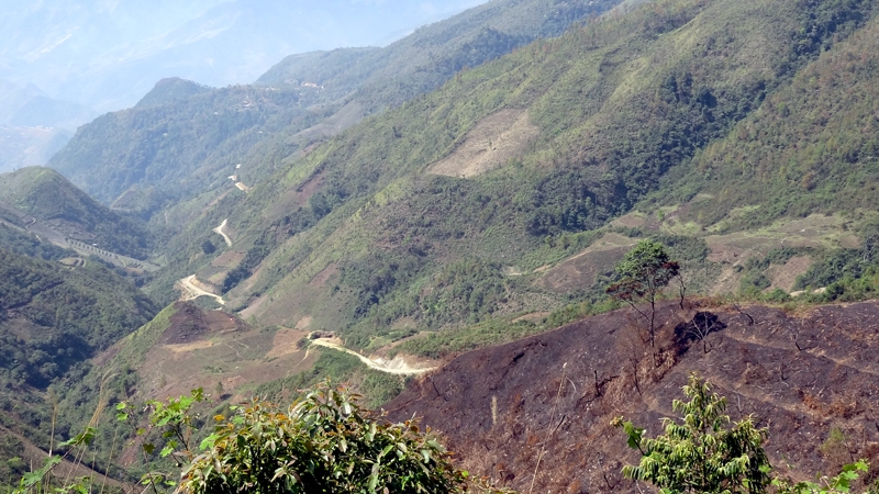 DSC09275_zps6257719d.jpg