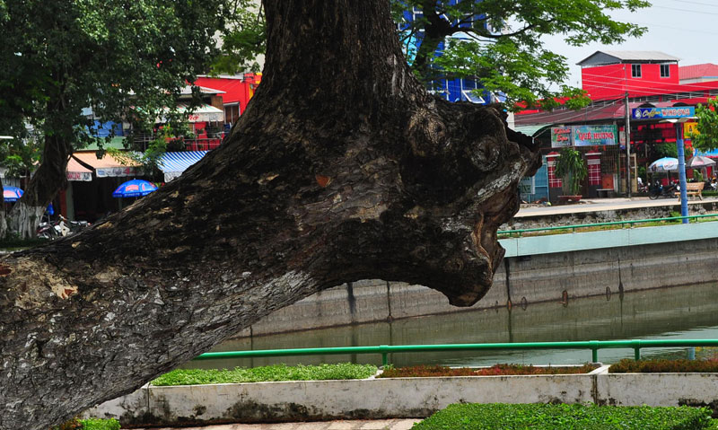 DSC_1176_zpsfea0da80.jpg
