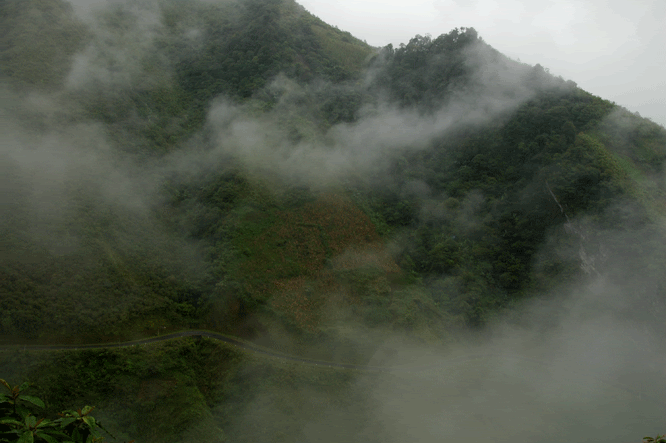 DSC_9530.gif