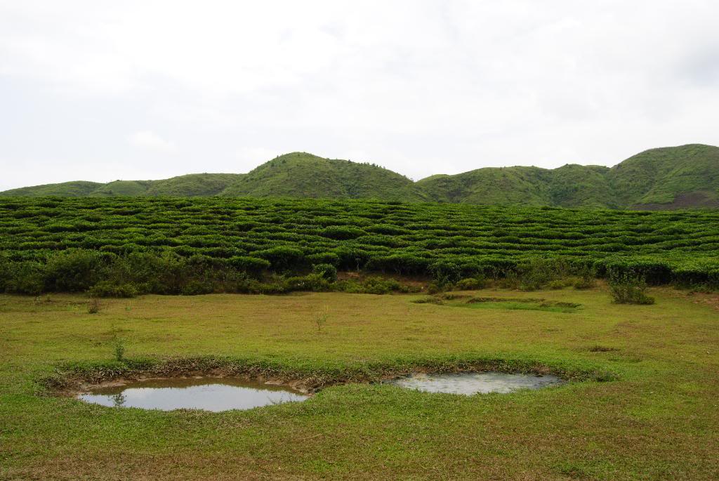 DSC_0360.jpg