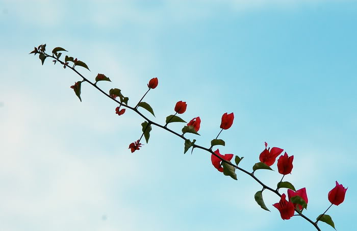 DSC_6929_resize.jpg