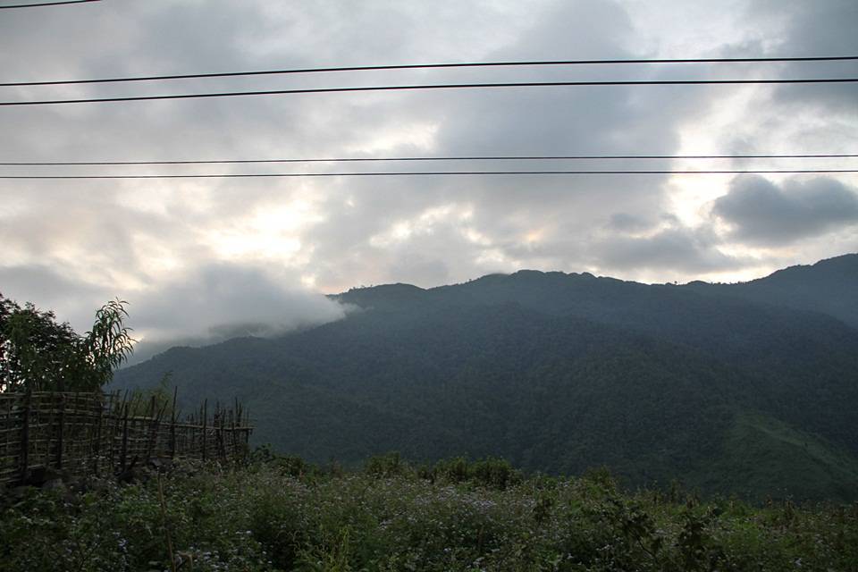 IMG_8947.jpg