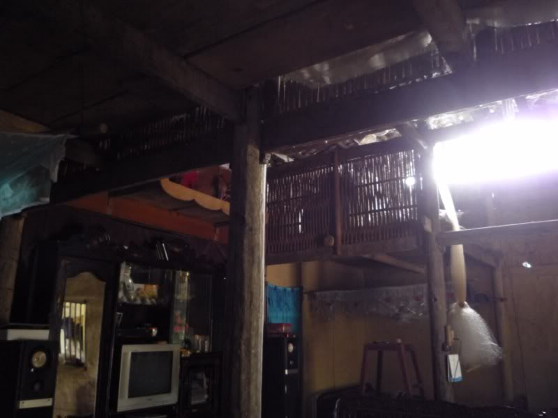 P1010853800x600.jpg