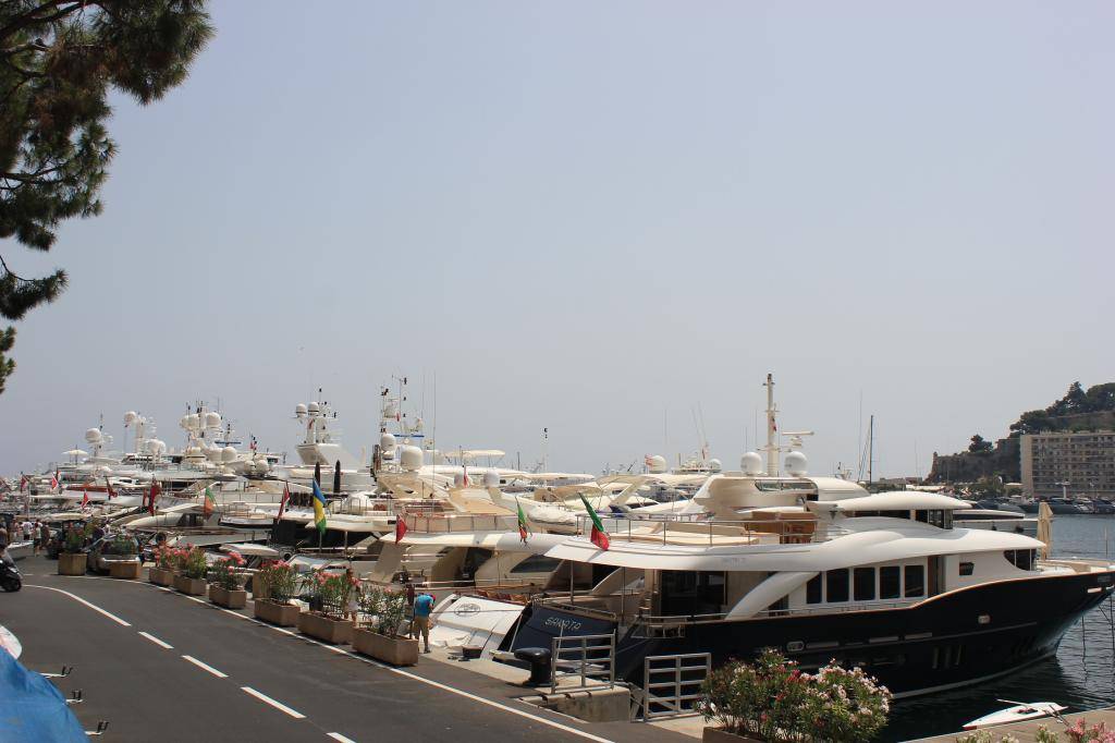 IMG_1893.jpg
