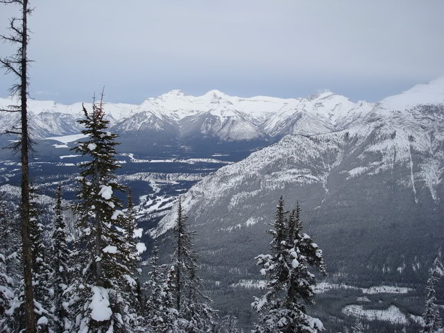 DSC06943.jpg