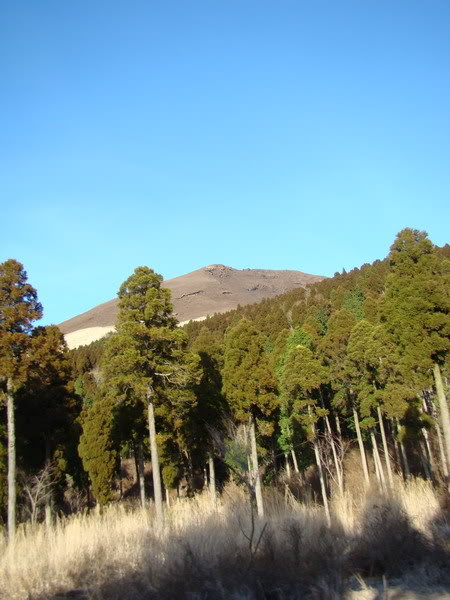 DSC02534_resize.jpg