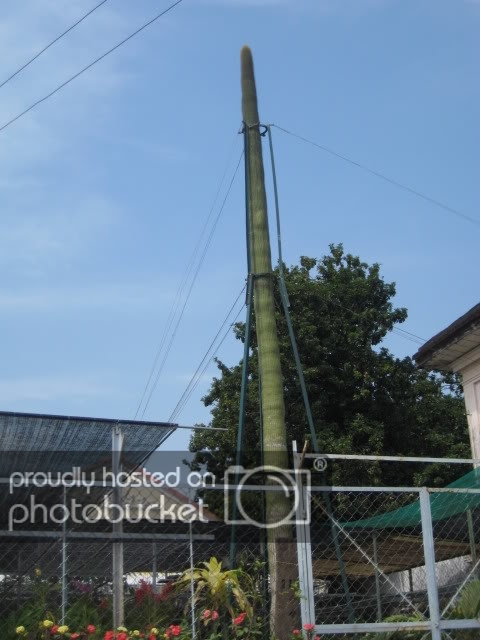 IMG_1727.jpg