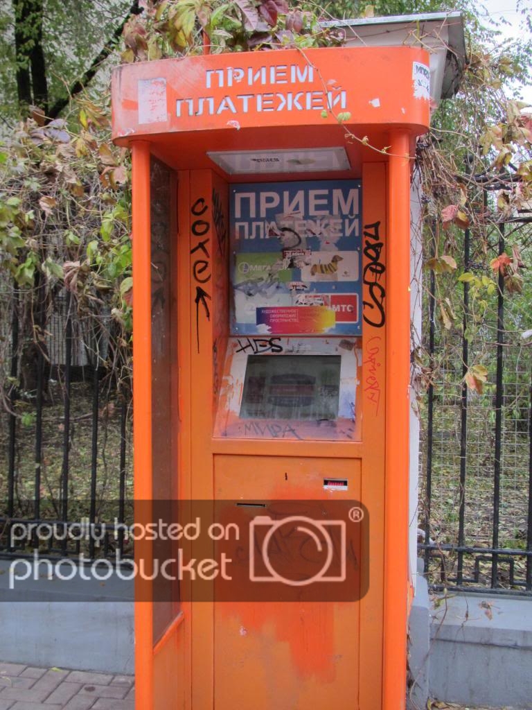 IMG_7301_zps5c717988.jpg