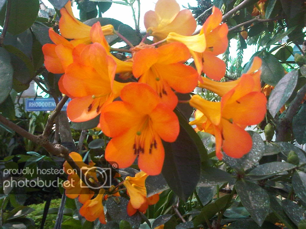 IMG-20111122-00158.jpg