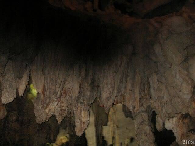IMG_2598.jpg