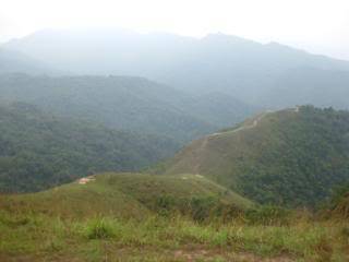 IMG_3290.jpg