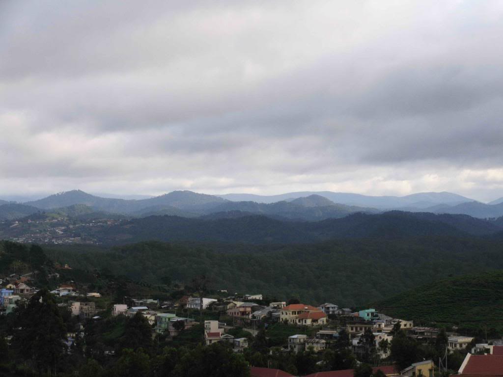 _MG_2752.jpg