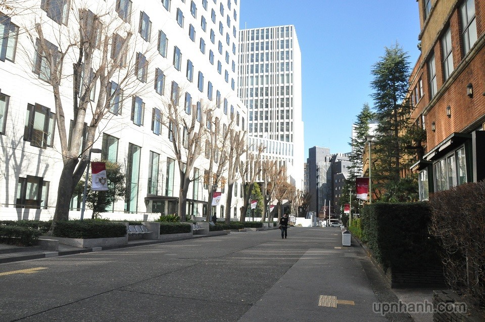 IMG_0467b2f2e.jpg