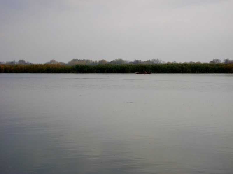 Lake49.jpg