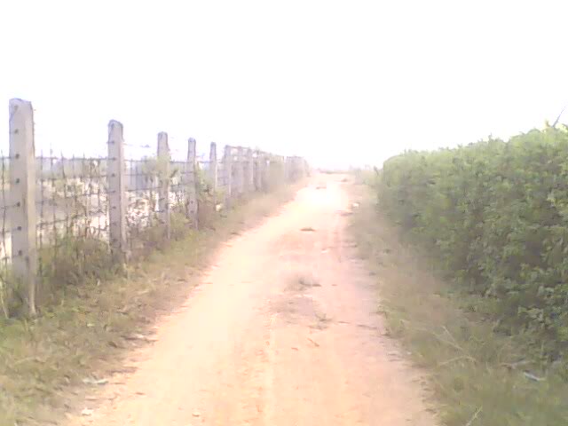 IMG0027A.jpg